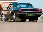 Dork Cuda 1.jpg